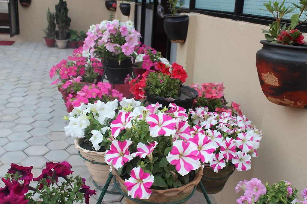 Dipankara Holiday Home Kathmandu Guest house